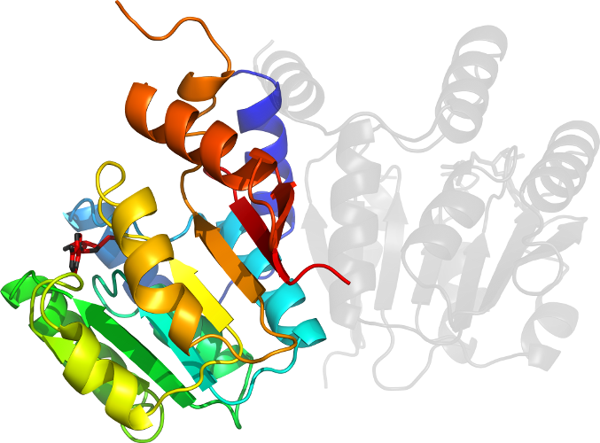 D5zw3a In Context Of Pdb - Graphic Design (677x500)
