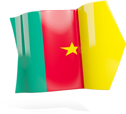 Illustration Of Flag Of Cameroon - Coin Purse (640x480)