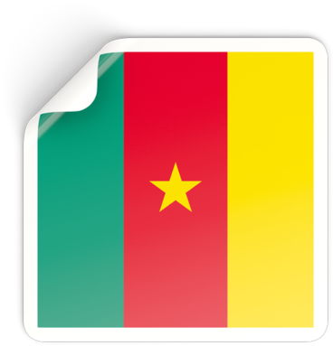 Illustration Of Flag Of Cameroon - Emblem (640x480)