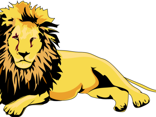 Lion Cartoon Picture - Lion Clipart (640x480)