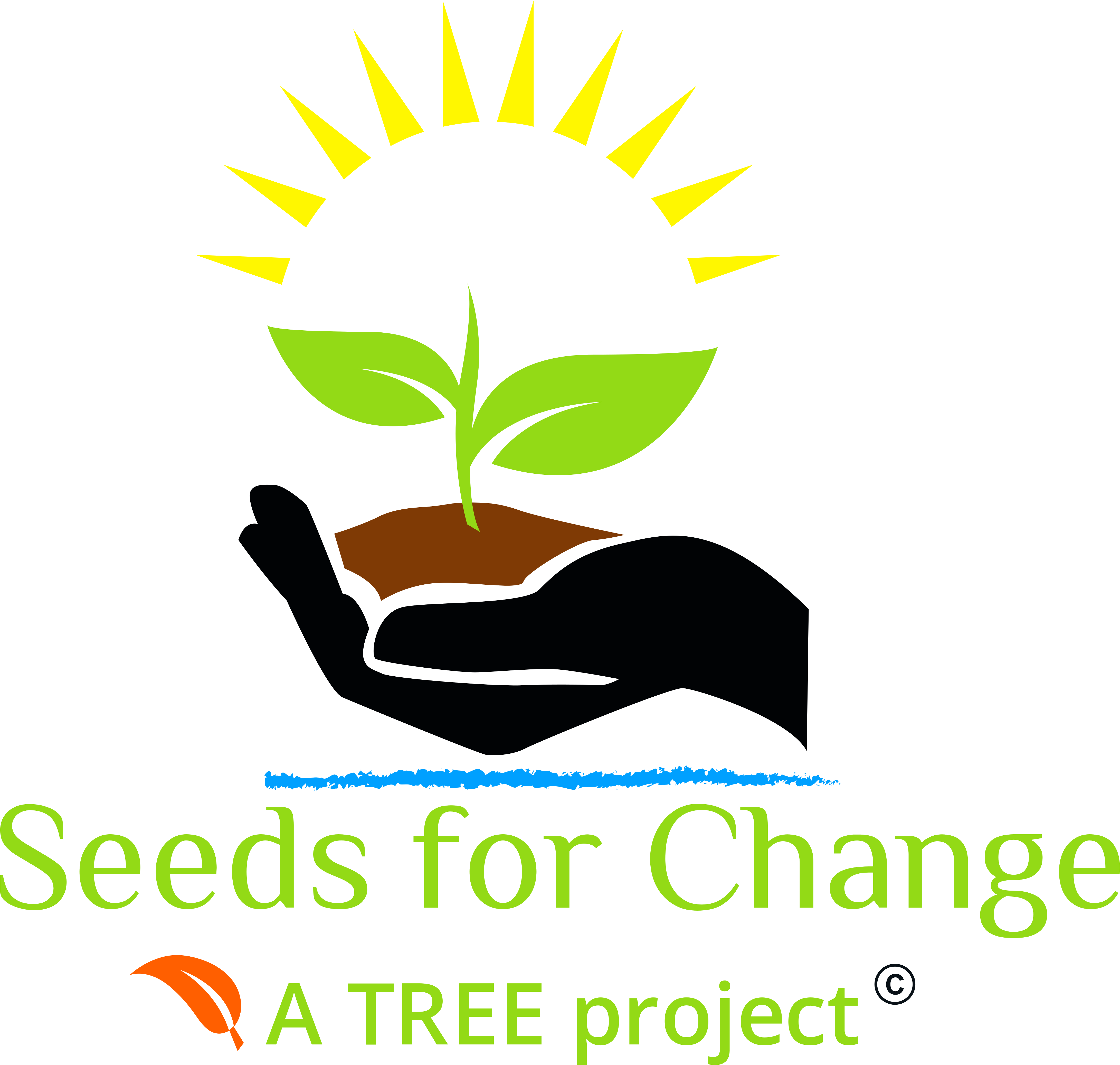 What Is Seeds For Change - Seeds Logo (5000x4797)