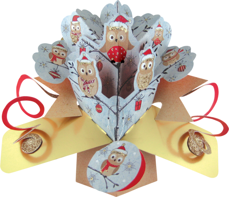 Christmas Pop Up Card With Festive Owls (800x689)