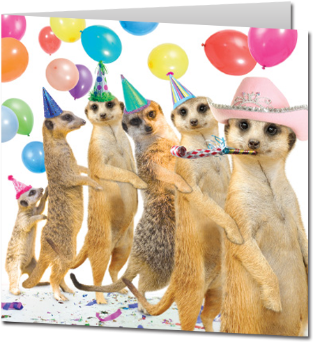 Animal Birthday Greeting Cards - Birthday Cards With Animals (550x550)