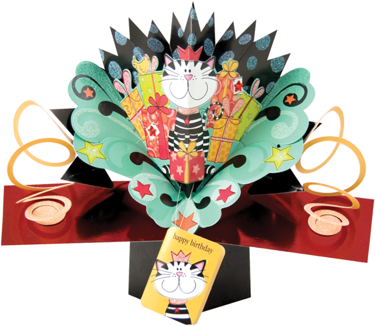 Cat Pop Up Birthday Card - Pop011 (800x800)