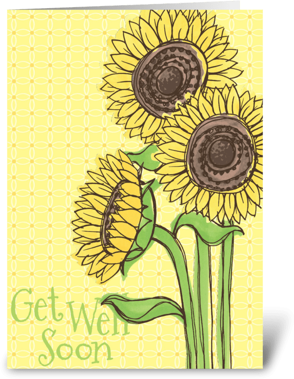 Get Well Soon Sunflower Greeting Card - Canvas Kudos Decorative Sign, Get Well Sunflowers (700x792)
