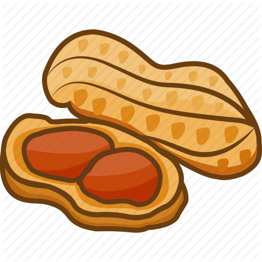 Peanut Clipart Legume - Peanut Icon Png (1024x1024)