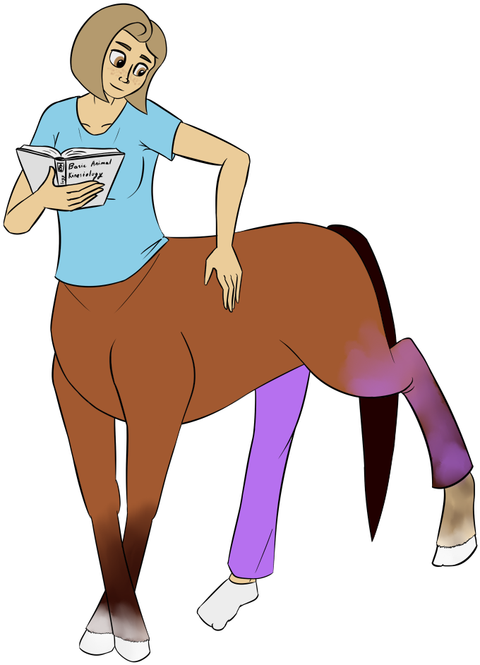 Introduction To Centaur Anatomy - Centaur Anatomy (769x1000)