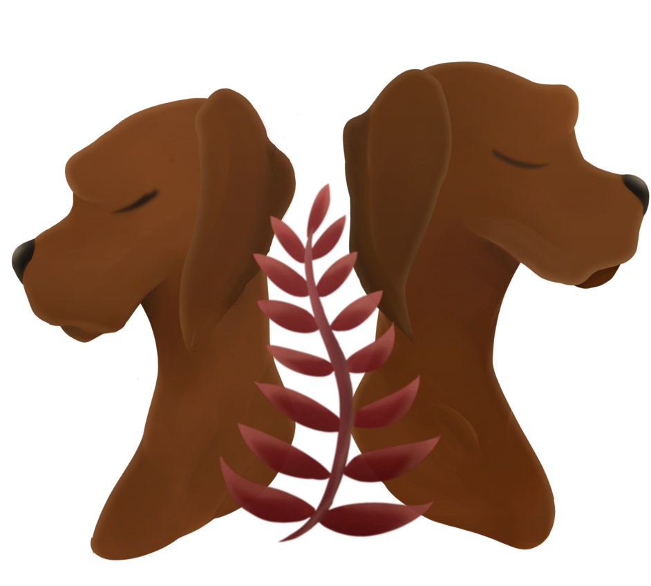 Where The Red Fern Grows By Missivyheart - Companion Dog (942x848)