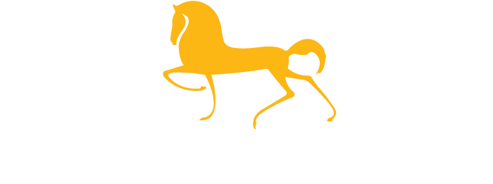 Cavallo Moda Uses Italian Leather, 100% Silk, Cashmere - Cavallo Moda Uses Italian Leather, 100% Silk, Cashmere (1000x493)