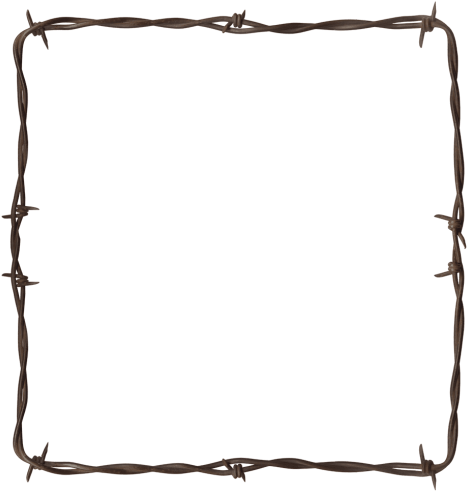 Free Png Barbwire Png Images Transparent - Western Barbed Border Clear Background (480x498)