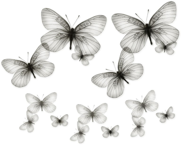 Shadow Butterfly By Bubblegum73 - White Butterflies Png (804x735)