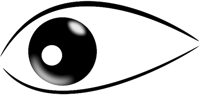 Focus - Imagenes De Un Ojo Png (640x320)