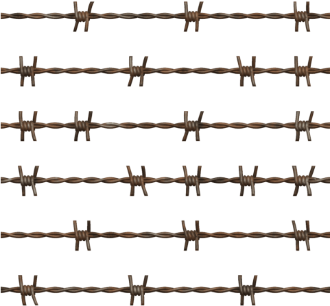 Free Png Barbwire Png Images Transparent - Barbed Wire (480x480)