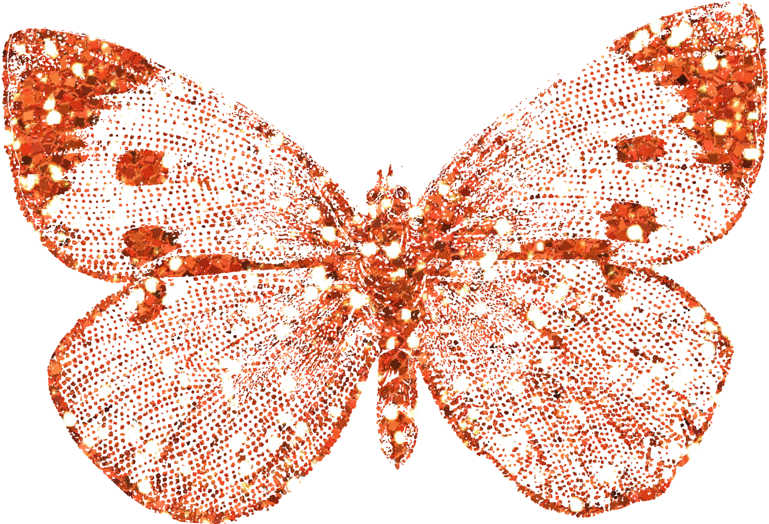 Glitter Orange Butte - Orange Butterfly With Glitter (1496x1021)