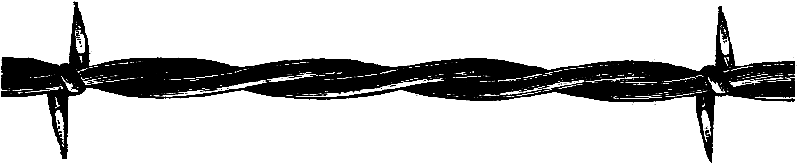 Digital Stamp Design - Illustration (1065x296)