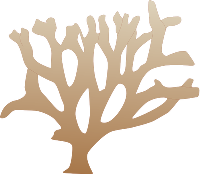 Branching Coral Illustration Of A Branching Coral - Coral Vector Png (400x349)