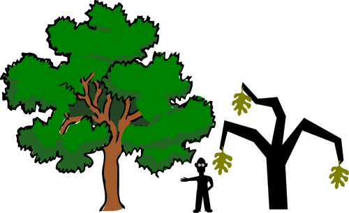 If It Was An Actual Tree, He Helped The Kids Build - Oak Tree Cartoon (500x306)