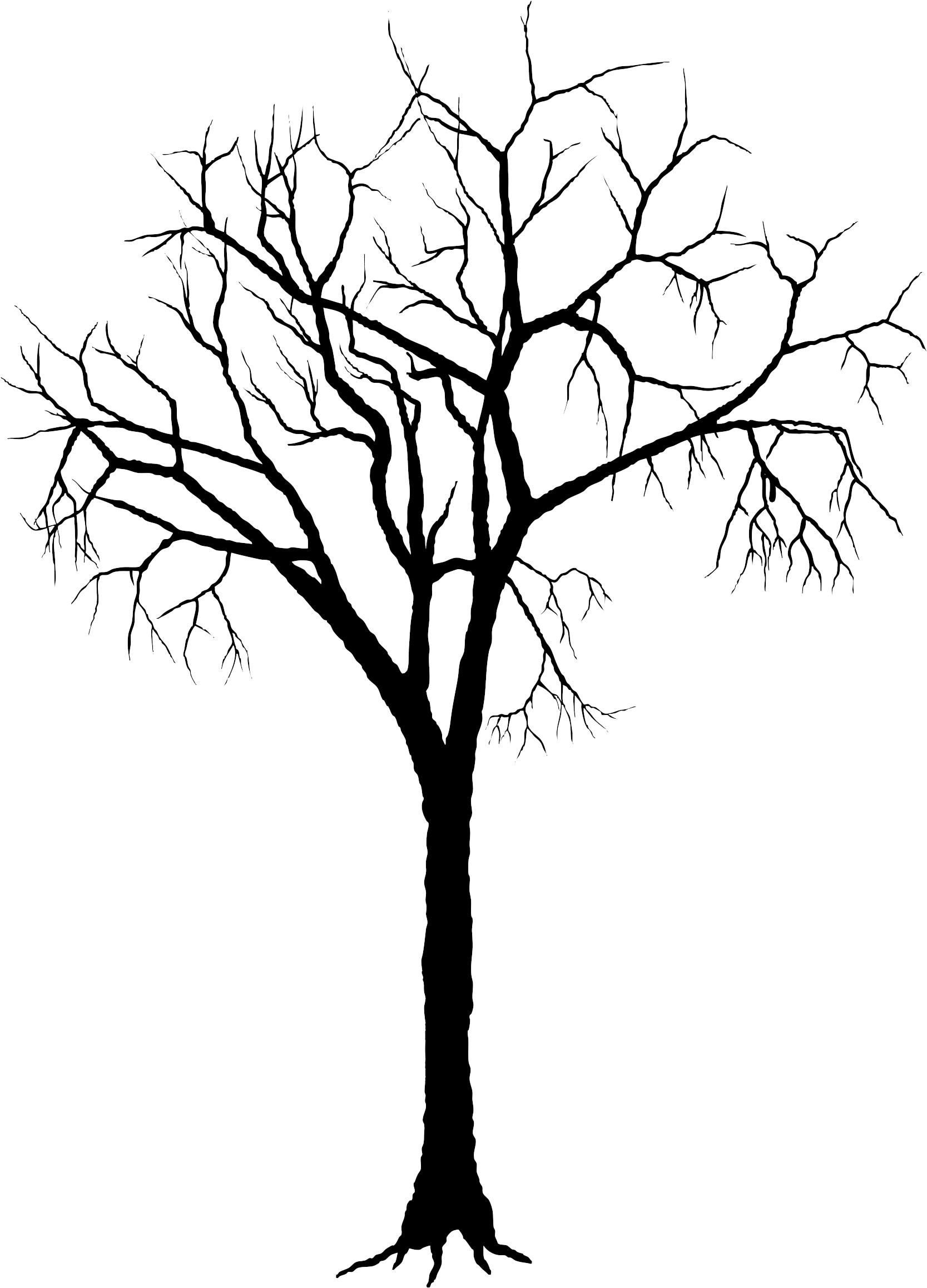 Qr0suqqx Tree Branches - Dead Tree Silhouette Png (1771x2400)