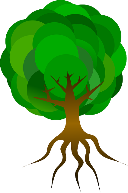 Nature Tree, Branches, Roots, Skeleton, Plant, Leaves, - Cartoon Tree With Roots (424x640)