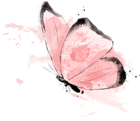 Croquis Animal Papillon 02 Encre Rose - Celastrina (507x416)