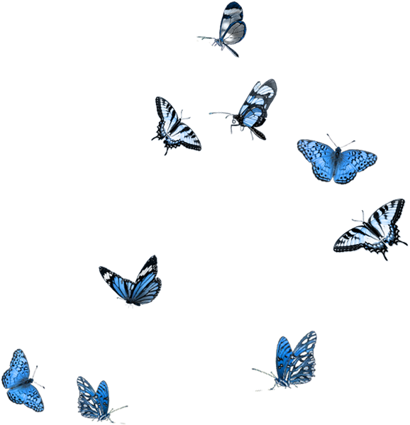 Butterfly Clip Art - Papillon Bleu Png (600x638)