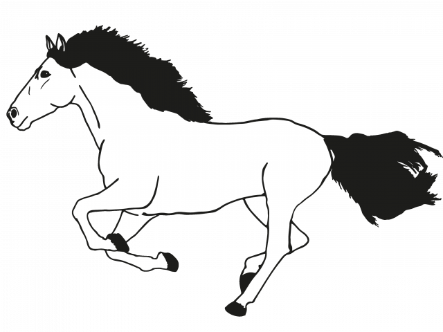 Download By Size - Galoppierendes Pferd (640x480)