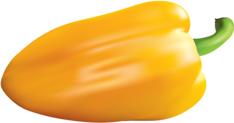 11 - Pimentao Amarelo Desenho Png (500x285)