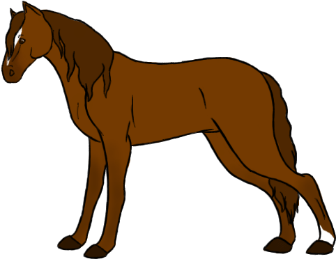 This Horse Has A Curly Mane - Horse (492x376)