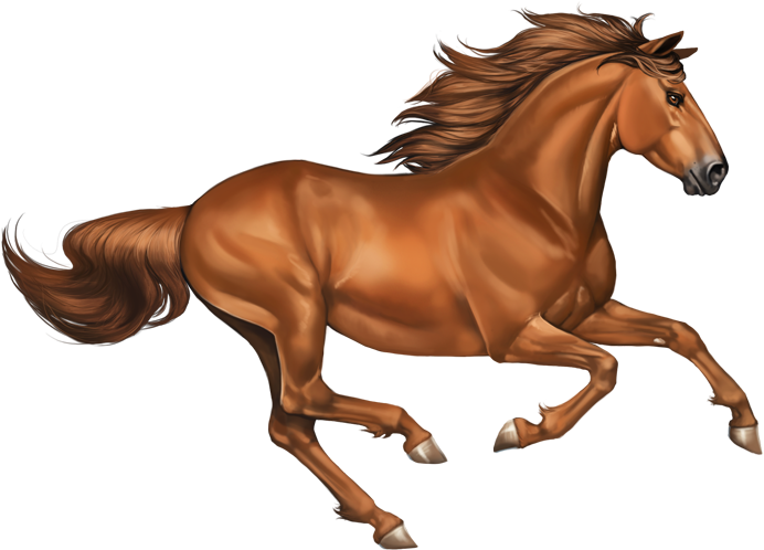 Sorrel - Chestnut Horse Png (700x503)