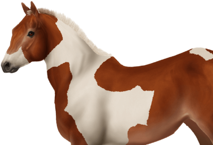 Taken On Thu Aug 09, 2018 - Horse (450x300)