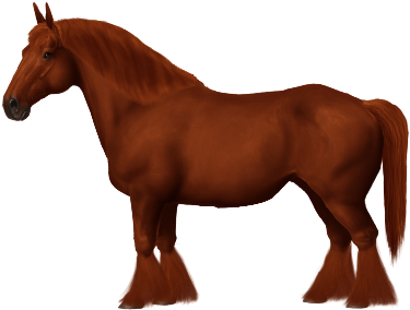 Taken On Tue Mar 28, 2017 - Horse (450x300)