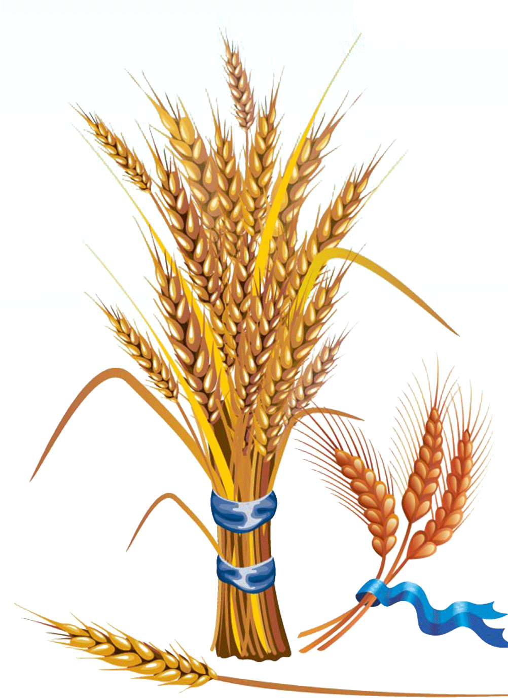 Grains Clipart Feather - Illustration Wheat (1500x1500)