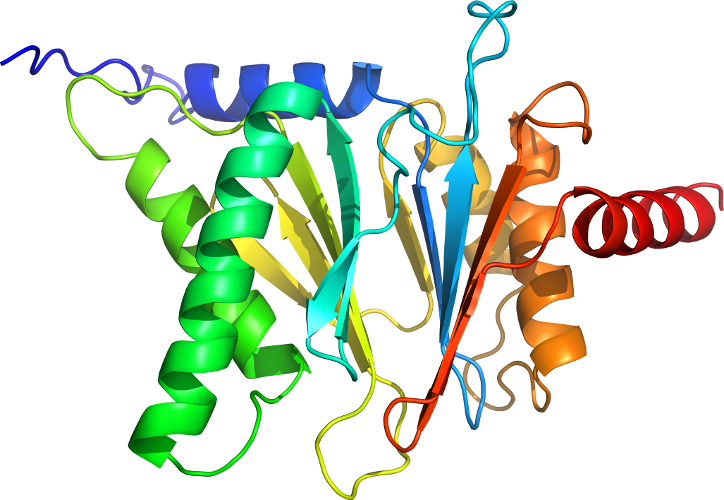 Line Point Graphic Design Clip Art - Graphic Design (724x500)