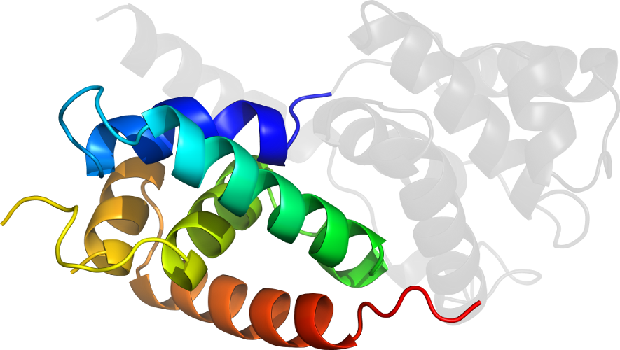 Graphic Design Body Jewellery Clip Art - Graphic Design Body Jewellery Clip Art (885x500)