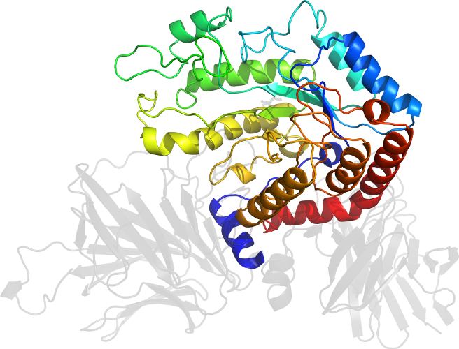 Graphic Design Logo Clip Art - Illustration (656x500)