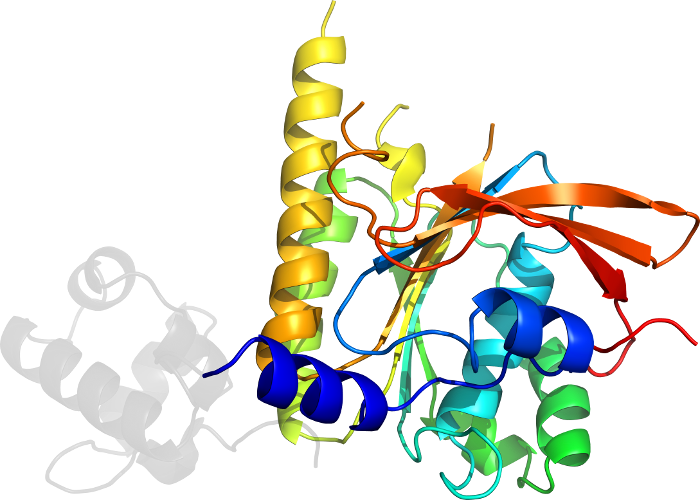 Clip Art Illustration Graphic Design Insect - Clip Art Illustration Graphic Design Insect (700x500)