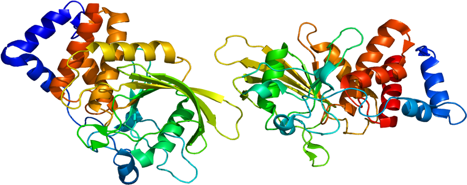 Ptprt Protein Tyrosine Phosphatase Gene Homo Sapiens - Ptprt Protein Tyrosine Phosphatase Gene Homo Sapiens (990x423)