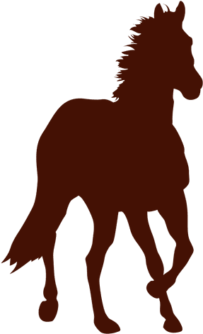 Front Horse Farm Running Silhouette Transparent Png - River's Edge Rivers Edge Products Running Bay Horse (512x512)