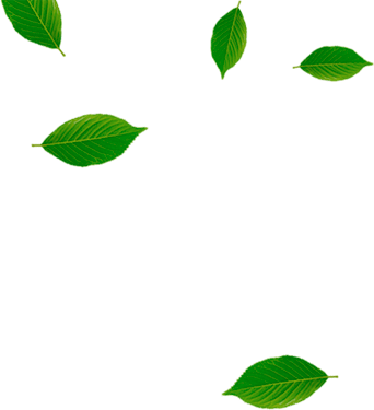 Own Laboratory - Own Laboratory (342x375)