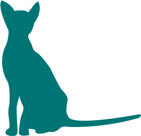 Egiptian Cat Sitting Silhouette Transparent Png - Siluet Of Cat Png (512x512)