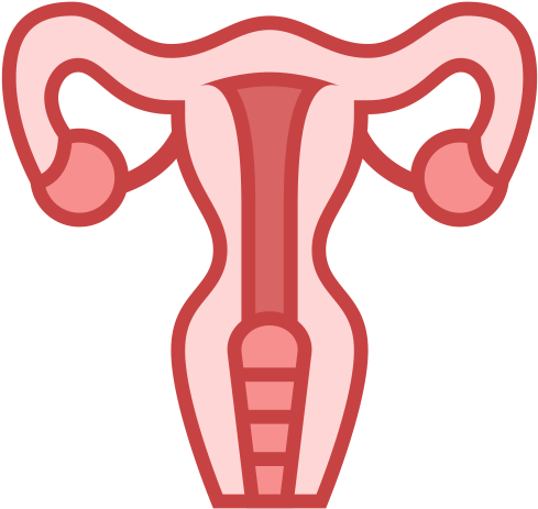 Free Download - Uterus Icon (512x512)