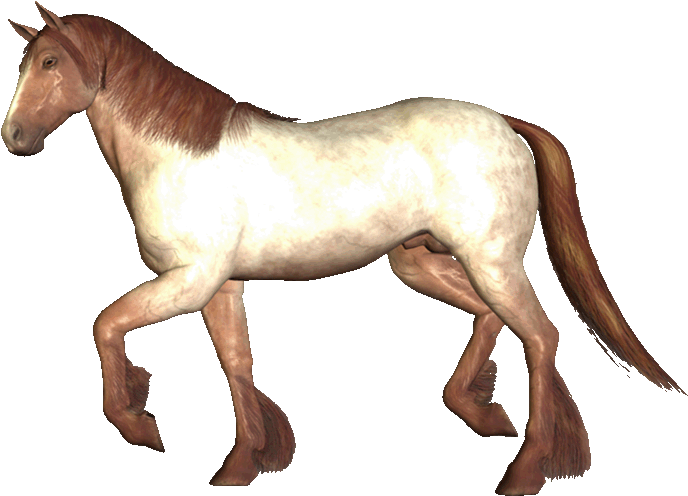 Image And Video Hosting By Tinypic - Anamated Running Horse Gif (800x600)