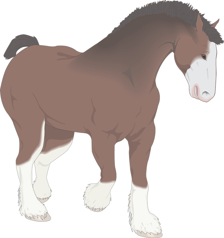 Imágenes Para Photoscape, Photoshop Y Gimp De Animales - Glitter Nikki (752x800)