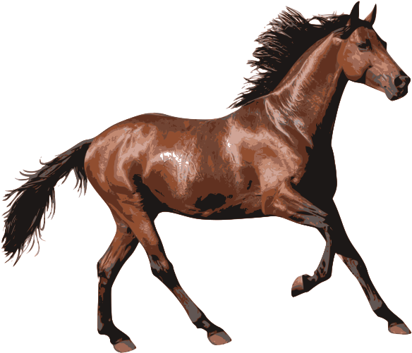 Source - Openclipart - Org - Report - Caballo Animado - Horse Running Png (800x566)