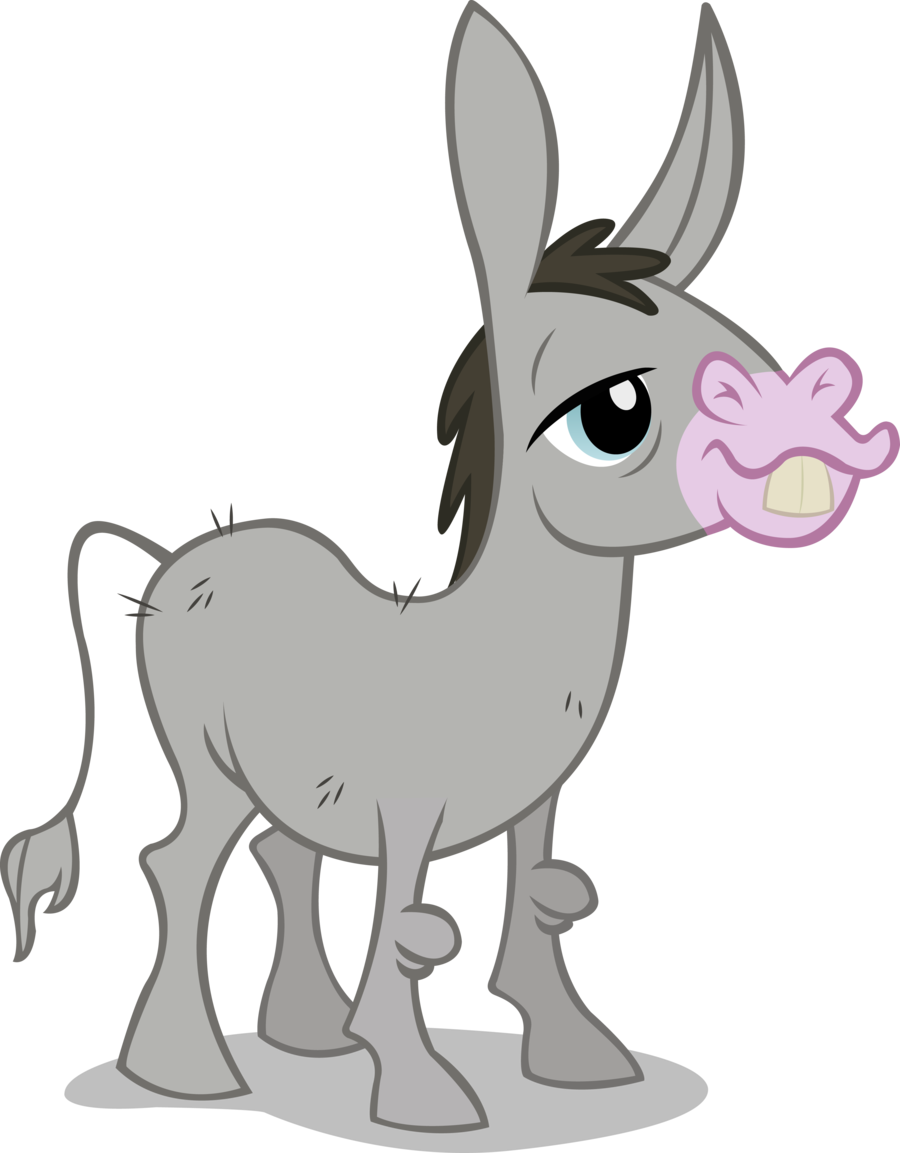 Mula Pony Calvados Caballo De Rainbow Dash - My Little Pony Mule (900x1153)