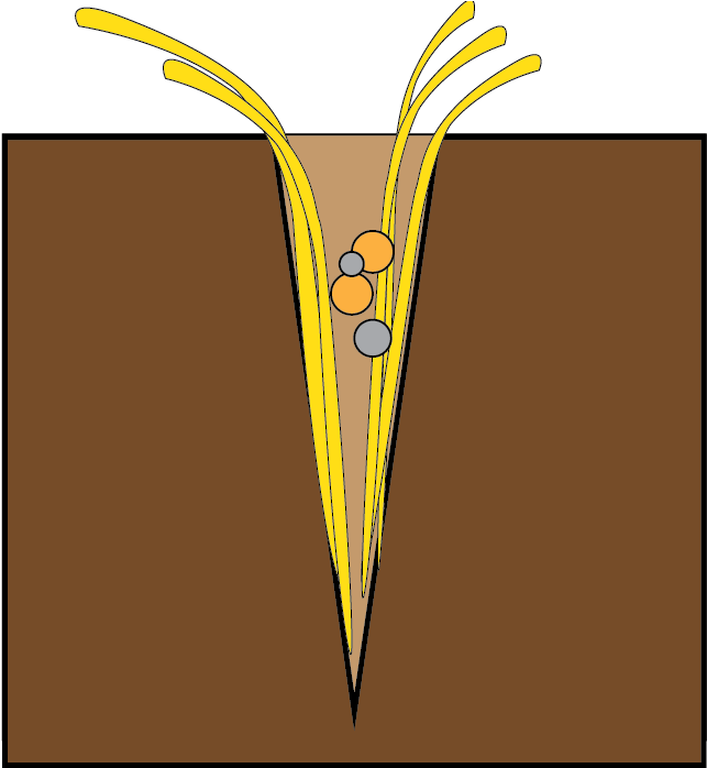 With The Novag System, The Seeds Are Already Covered - Drinking Straw (656x697)