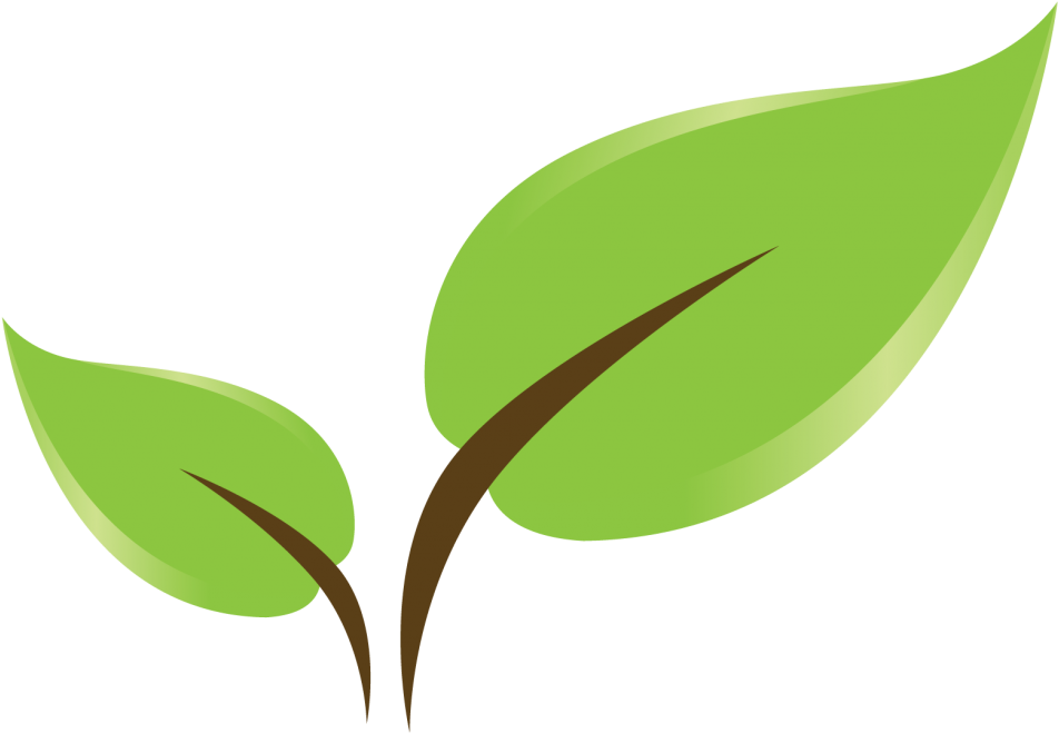 Church Profile - Bharat Ram Global School Greater Noida Logo (1024x698)