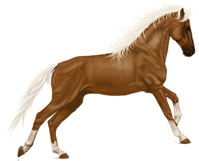 Horse Art Digital Artwork Horse Horse Hors - Horse (405x340)