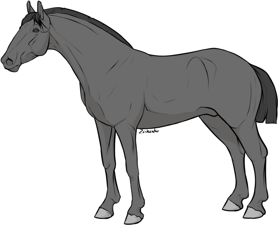 [pay To Use] Horse Lineart By Zakeido - Horse (996x802)