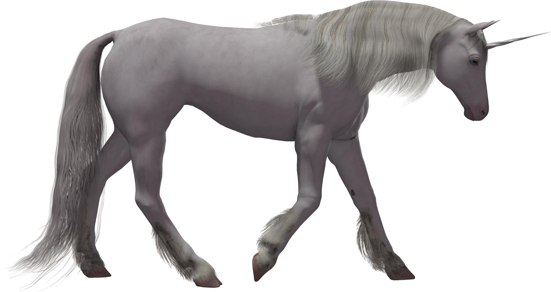 Unicorn Horse Transparency And Translucency - Licorne Qui Vole Png (1904x1200)